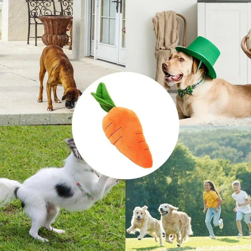 Jouet en Peluche Couineur en Forme de Carotte pour Chien - HautePattes