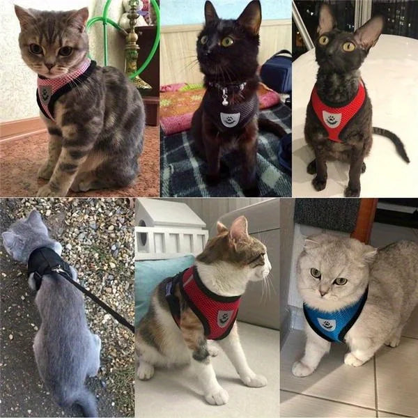 Ensemble harnais et laisse réfléchissants pour animaux de compagnie, pour chiens et chats, harnais réglable pour chiot et chat avec maille douce - HautePattes