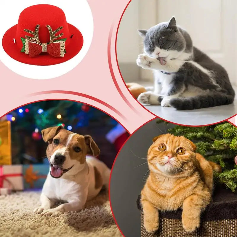 Chapeau rouge de Noël pour animaux de compagnie - HautePattes