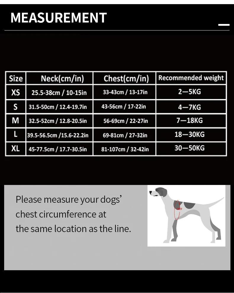 Harnais True love anti-traction chien nylon réfléchissant - HautePattes