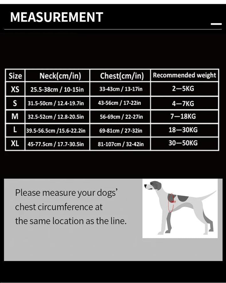 Harnais True love anti-traction chien nylon réfléchissant - HautePattes