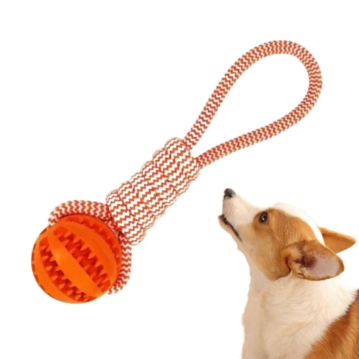Balle à Corde Intelligente pour Chien - HautePattes