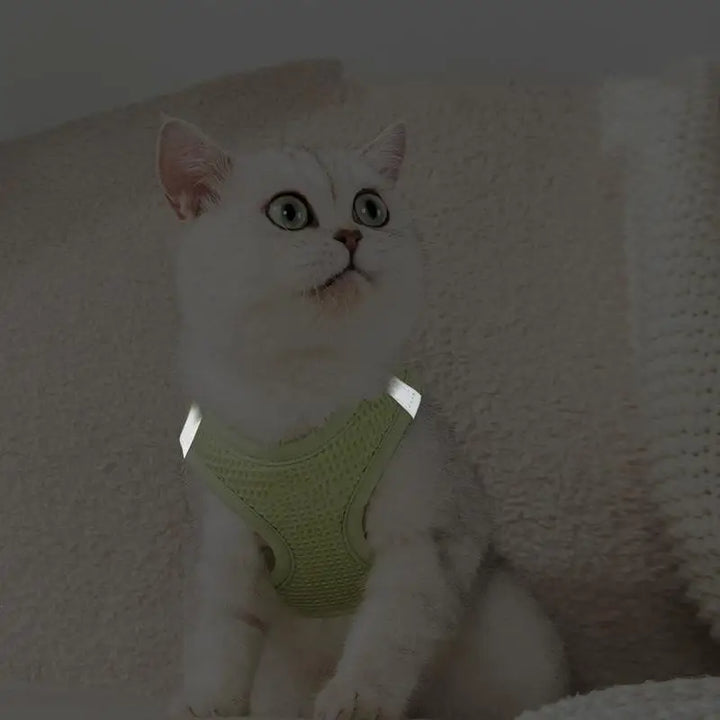 Harnais et laisses anti-fuite pour chat, pour petit et moyen chien, respirant, réfléchissant, réglable, sangle de poitrine pour chaton, fournitures pour animaux de compagnie - HautePattes
