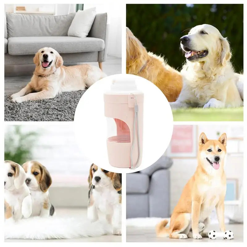Gourde Portable 2-en-1 pour Chien - HautePattes