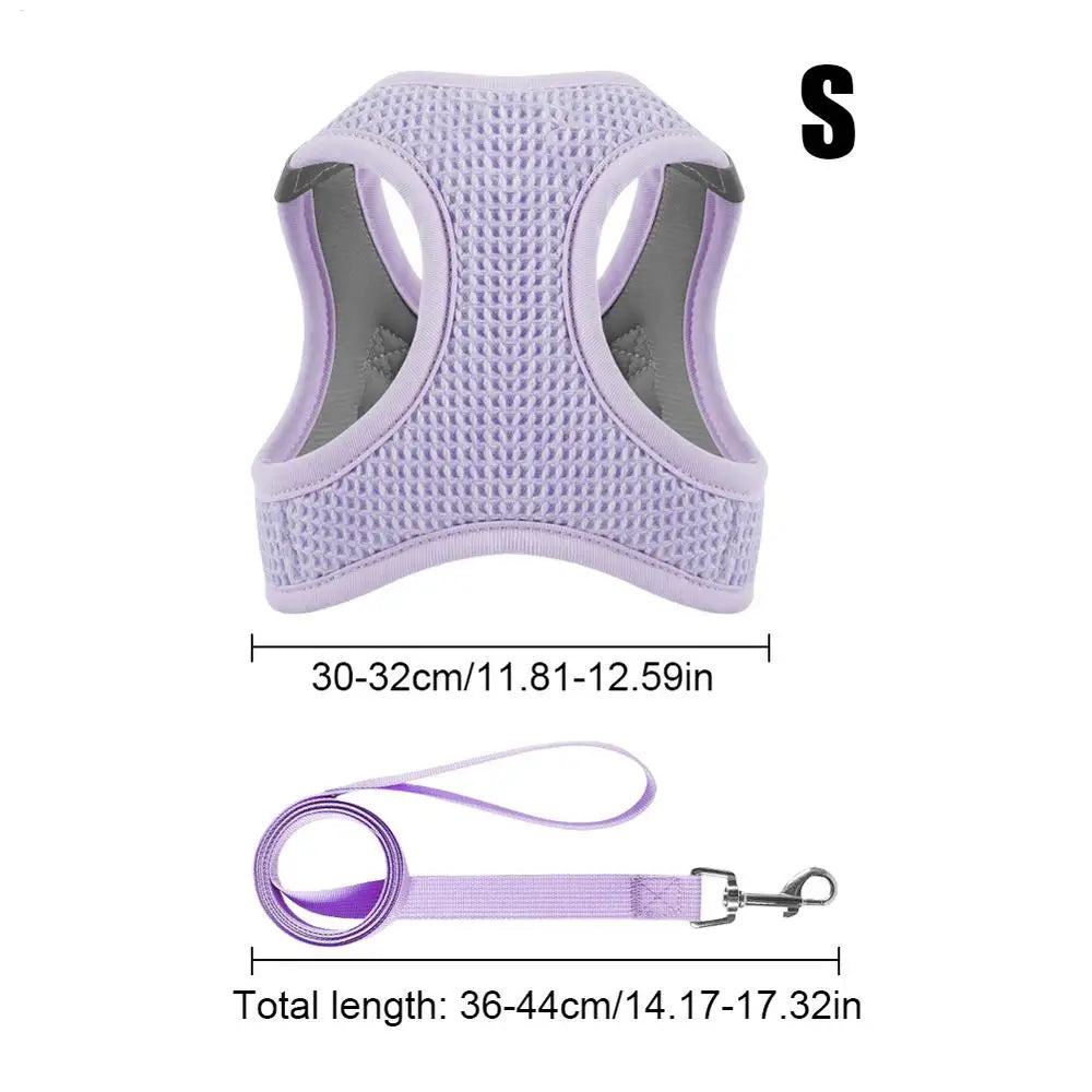 Harnais et laisses anti-fuite pour chat, pour petit et moyen chien, respirant, réfléchissant, réglable, sangle de poitrine pour chaton, fournitures pour animaux de compagnie - HautePattes