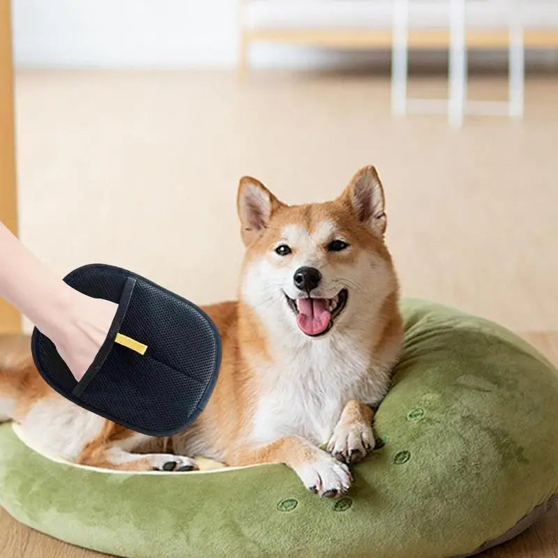 Gant pour Chat et Chien - HautePattes