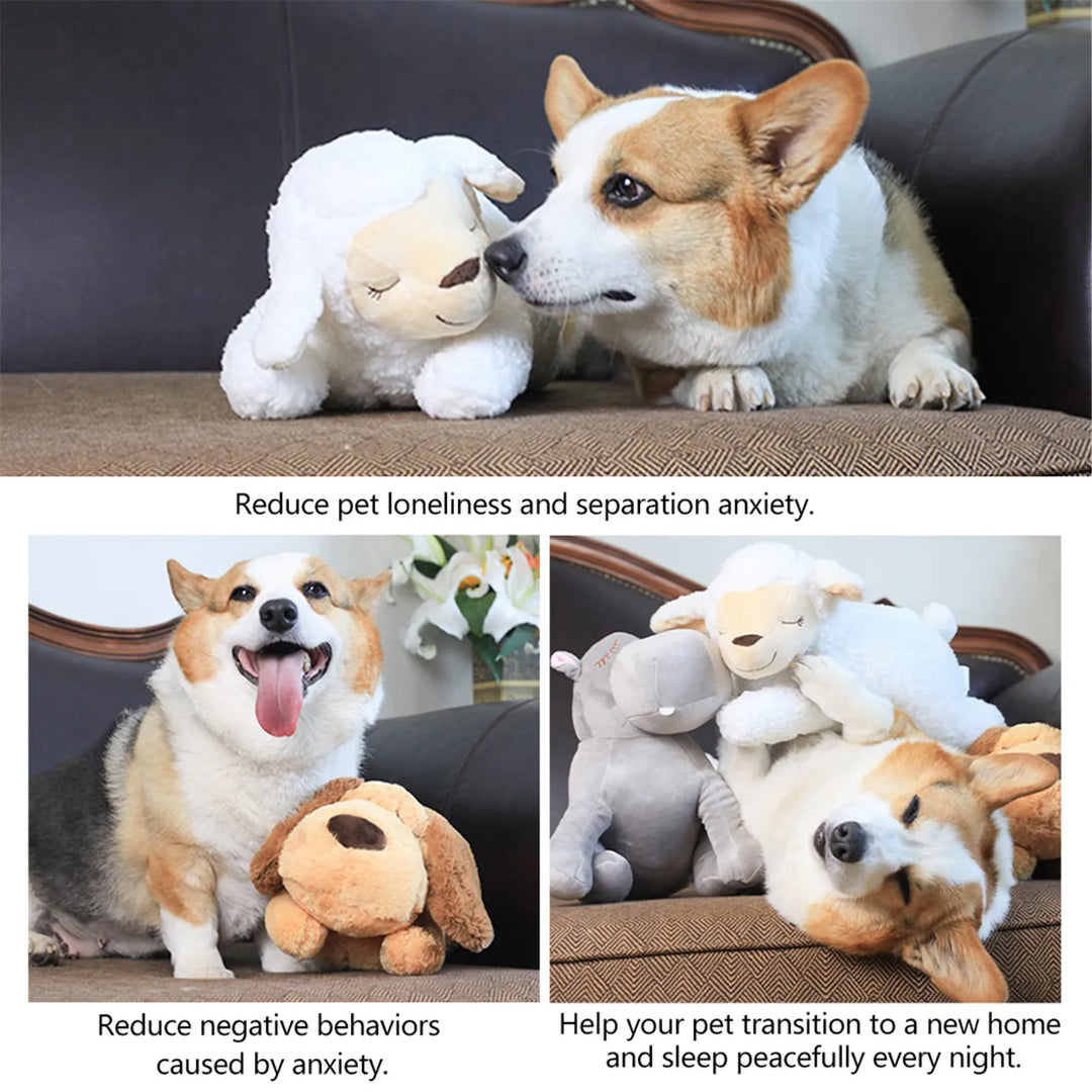 Jouet Apaisant pour Chien & Chat - HautePattes