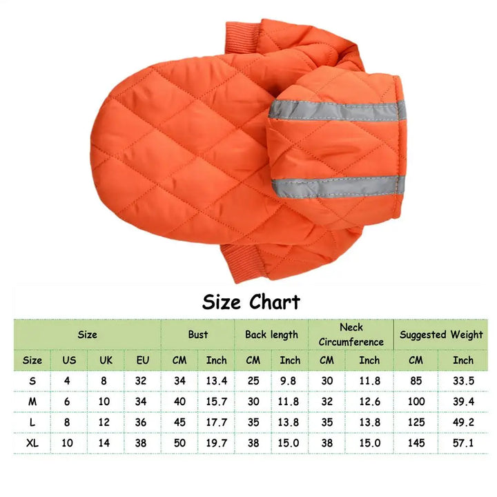 Manteau chaud avec bandes réfléchissantes pour chien courageux