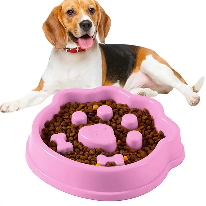 Gamelle anti-glouton pour chien – Mange mieux, digère mieux