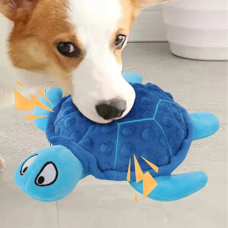 Peluche en Forme de Tortue pour Chien - HautePattes