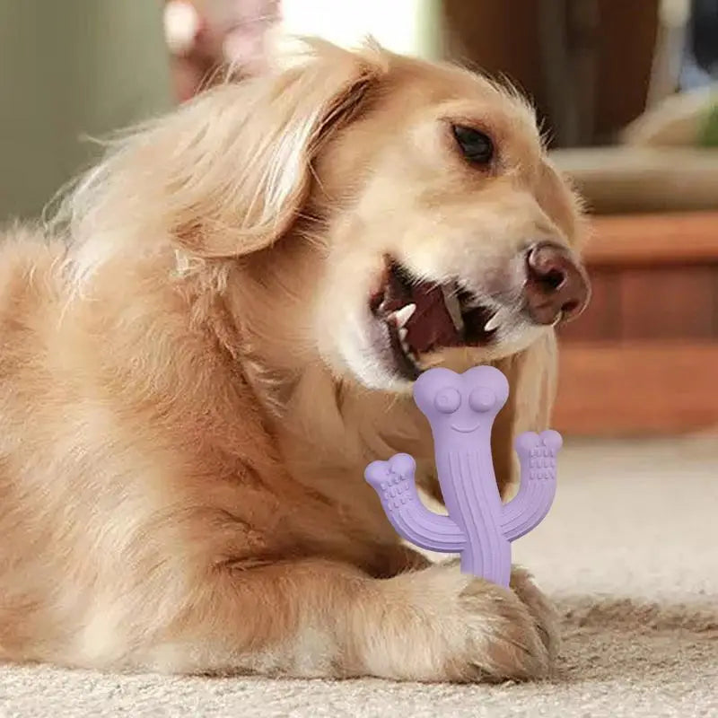 Jouet à mâcher pour chien en forme de cactus - HautePattes