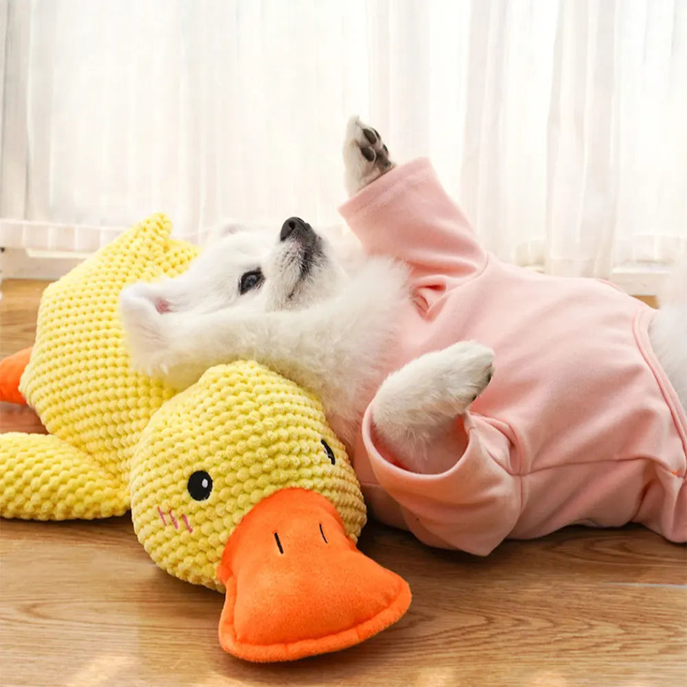 Jouet Apaisant en Peluche – Le Canard Couineur - HautePattes