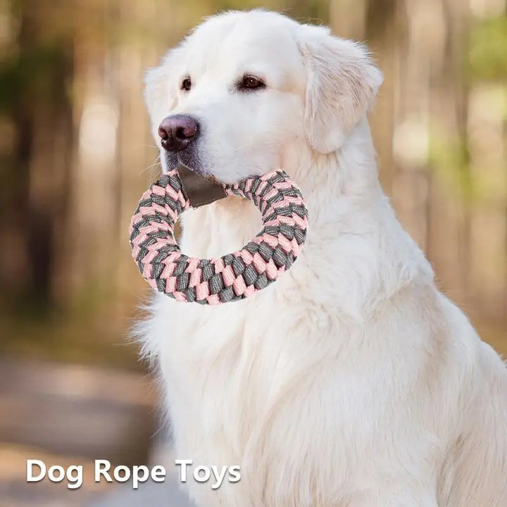 Jouet à Mâcher Tressé Sans Rembourrage pour Chiens - HautePattes