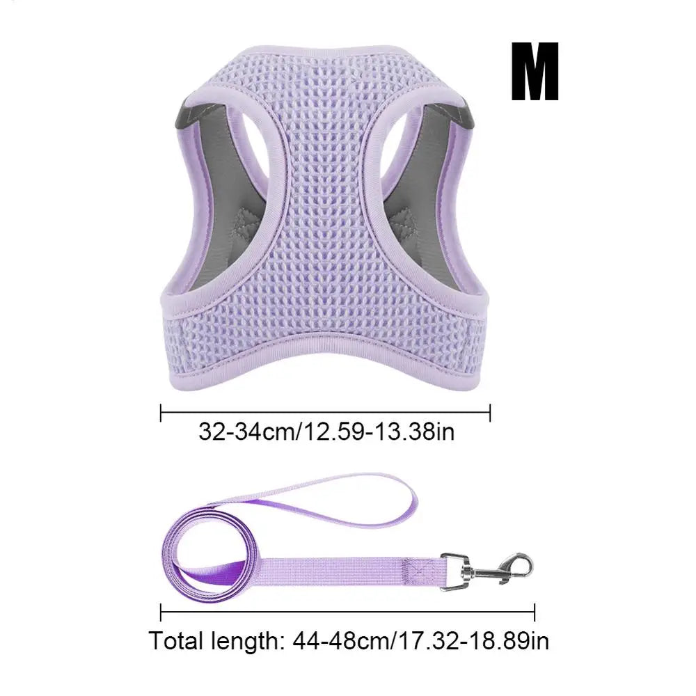 Harnais et laisses anti-fuite pour chat, pour petit et moyen chien, respirant, réfléchissant, réglable, sangle de poitrine pour chaton, fournitures pour animaux de compagnie - HautePattes