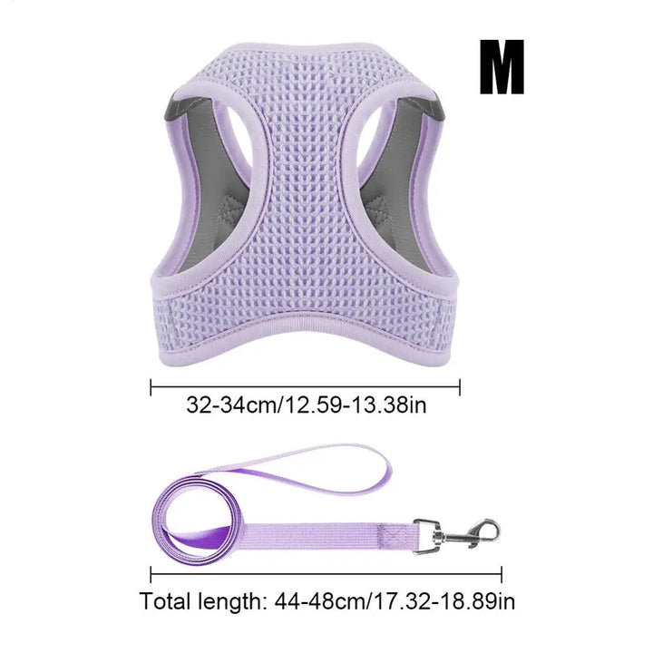 Harnais et laisses anti-fuite pour chat, pour petit et moyen chien, respirant, réfléchissant, réglable, sangle de poitrine pour chaton, fournitures pour animaux de compagnie - HautePattes