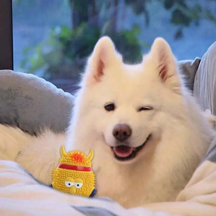 Jouet Couineur en Latex Naturel pour Chien - HautePattes