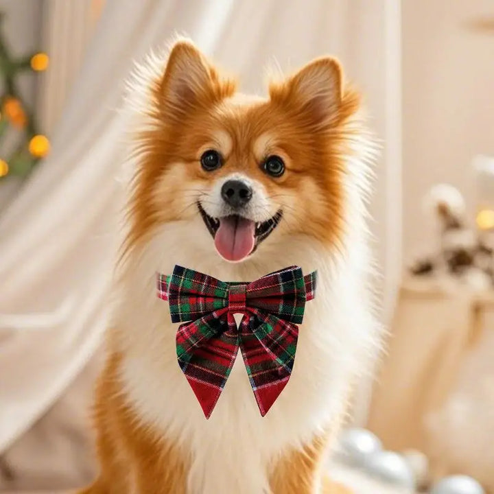 Collier chien nœud papillon – Élégance chic au quotidien