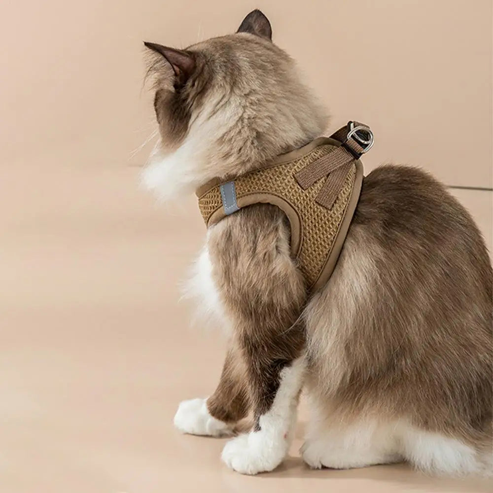 Harnais et laisses anti-fuite pour chat, pour petit et moyen chien, respirant, réfléchissant, réglable, sangle de poitrine pour chaton, fournitures pour animaux de compagnie - HautePattes