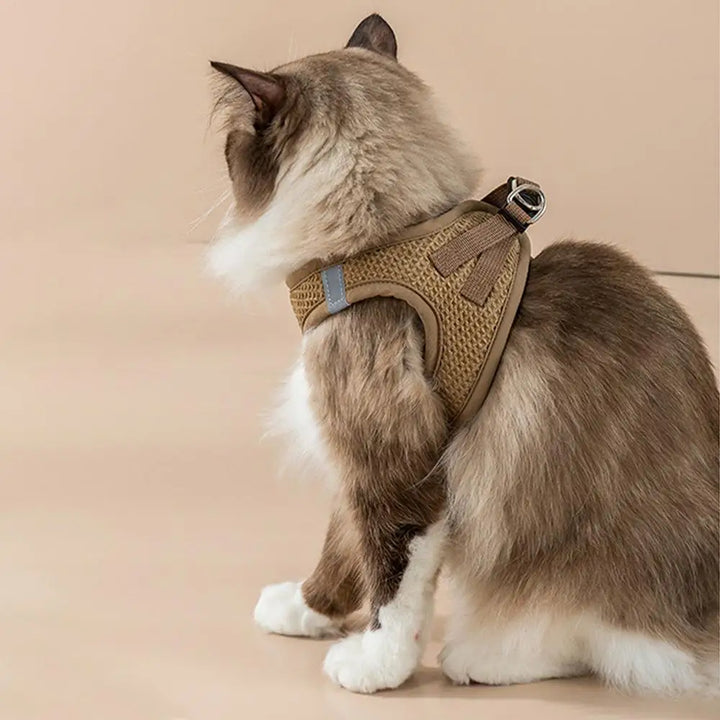 Harnais et laisses anti-fuite pour chat, pour petit et moyen chien, respirant, réfléchissant, réglable, sangle de poitrine pour chaton, fournitures pour animaux de compagnie - HautePattes