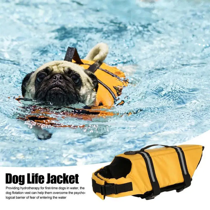 Gilet de sauvetage pour chien qui protège sans gêner