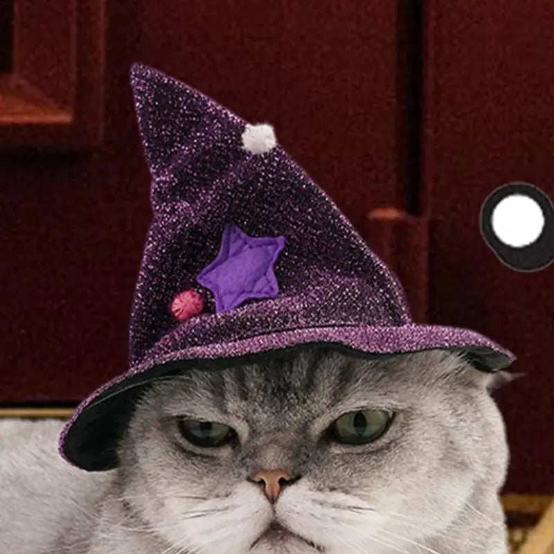 Costume sorcier chien & chat : léger, brillant et irrésistible