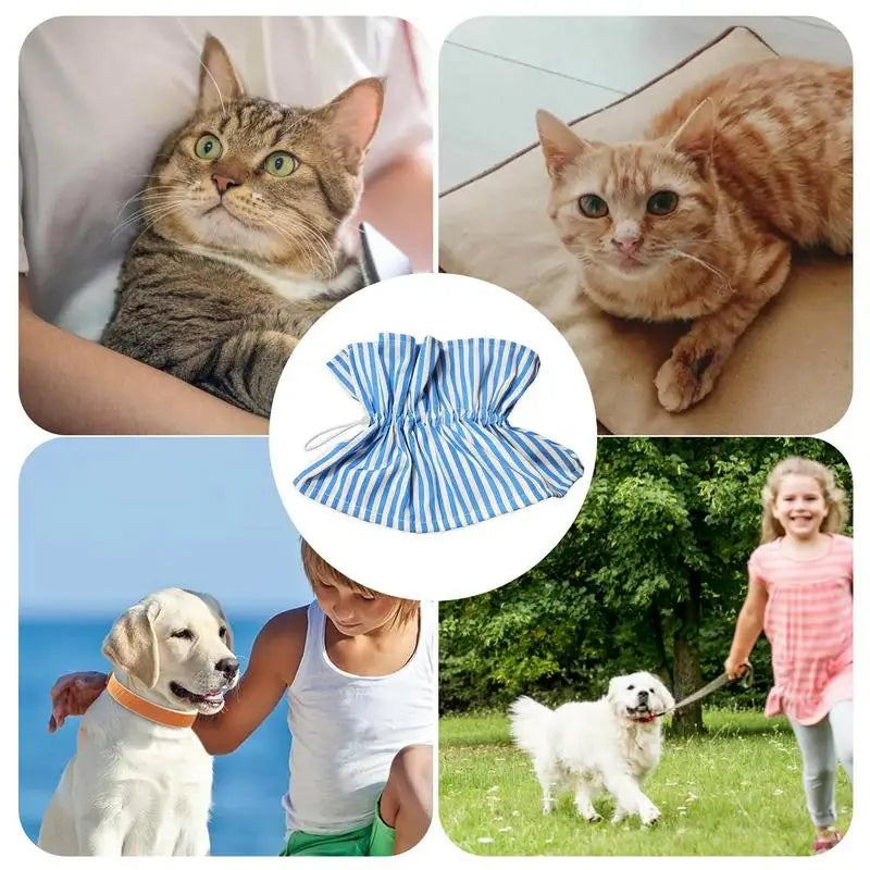 Collerette pour chat - HautePattes