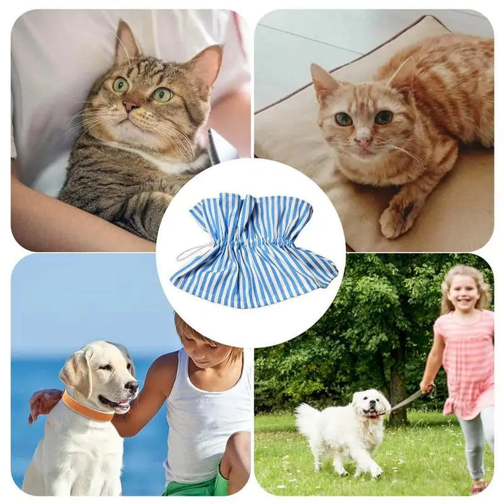 Collerette pour chat - HautePattes