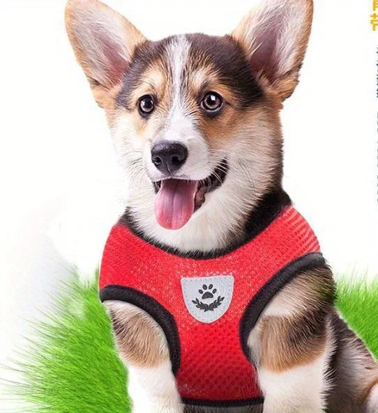 Ensemble harnais et laisse réfléchissants pour animaux de compagnie, pour chiens et chats, harnais réglable pour chiot et chat avec maille douce - HautePattes