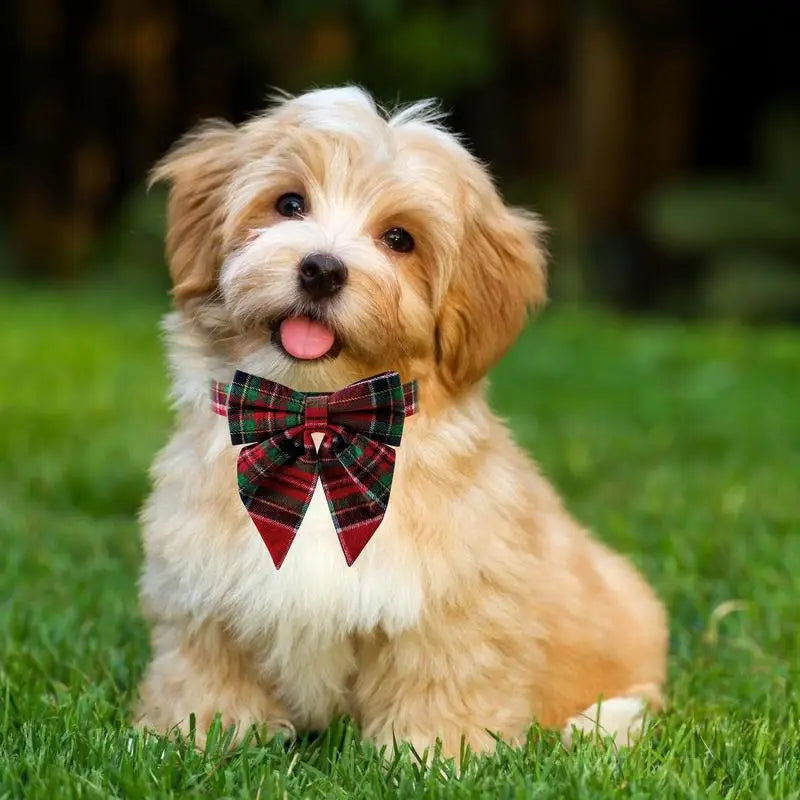 Collier chien nœud papillon – Élégance chic au quotidien