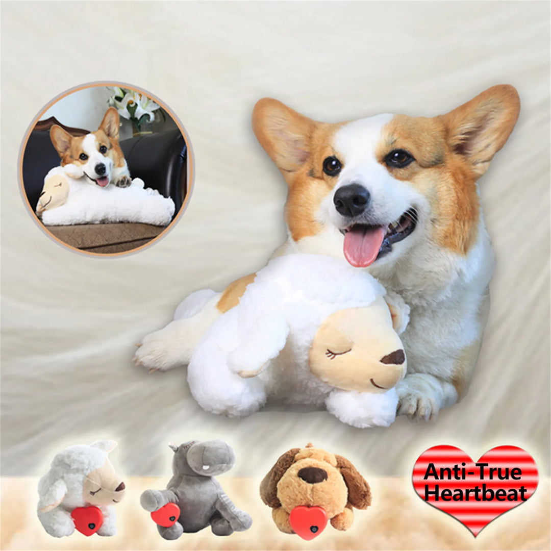 Jouet Apaisant pour Chien & Chat - HautePattes