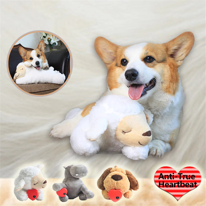 Jouet Apaisant pour Chien & Chat - HautePattes