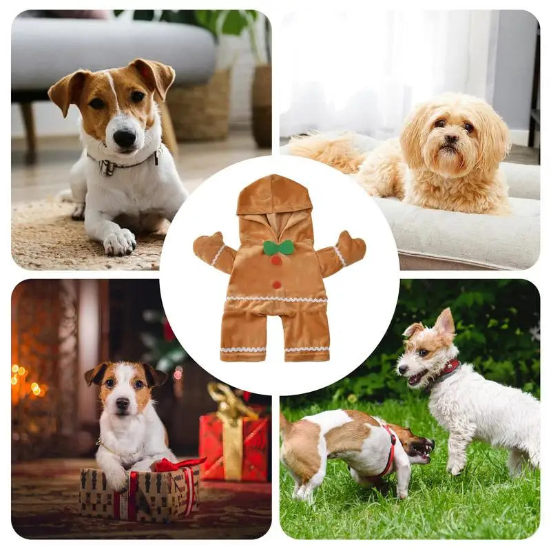 Costume pain d’épice pour chien : fou rire, douceur, souvenirs