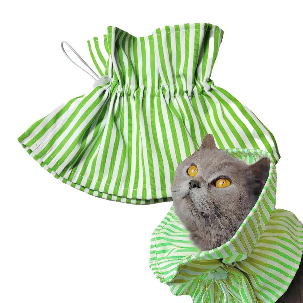 Collerette pour chat - HautePattes
