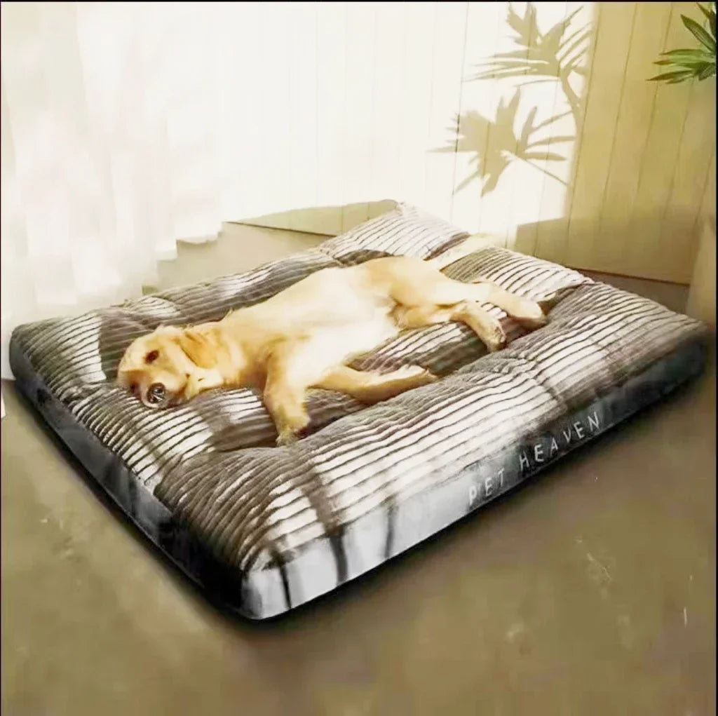 Tapis en Velours Côtelé pour Chien - HautePattes