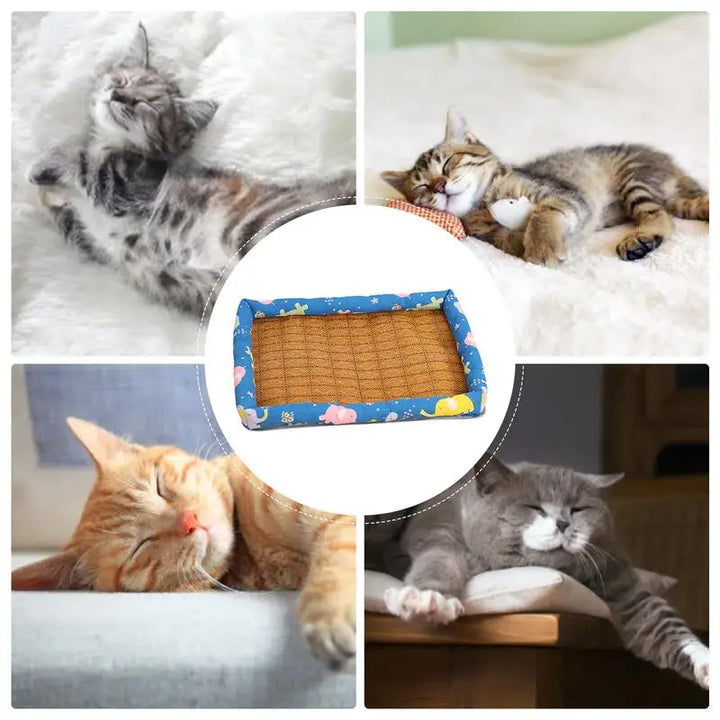 Tapis rafraîchissant chien et chat - HautePattes