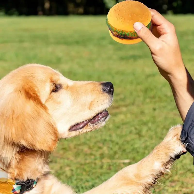 Jouet Couineur en Forme de Hamburger pour Chien - HautePattes