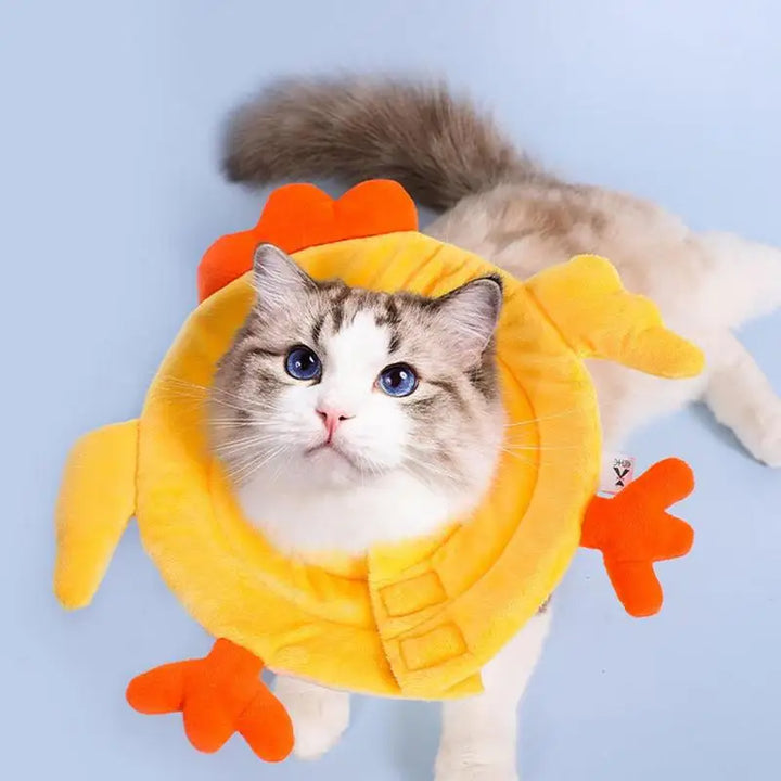 Collerette pour chat - HautePattes