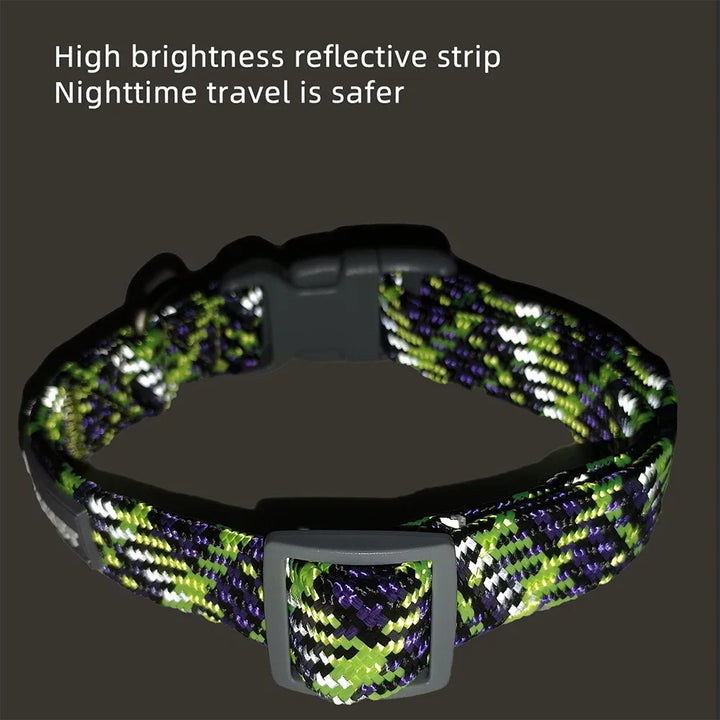 Collier réfléchissant chien & chat : visible la nuit, discret au quotidien