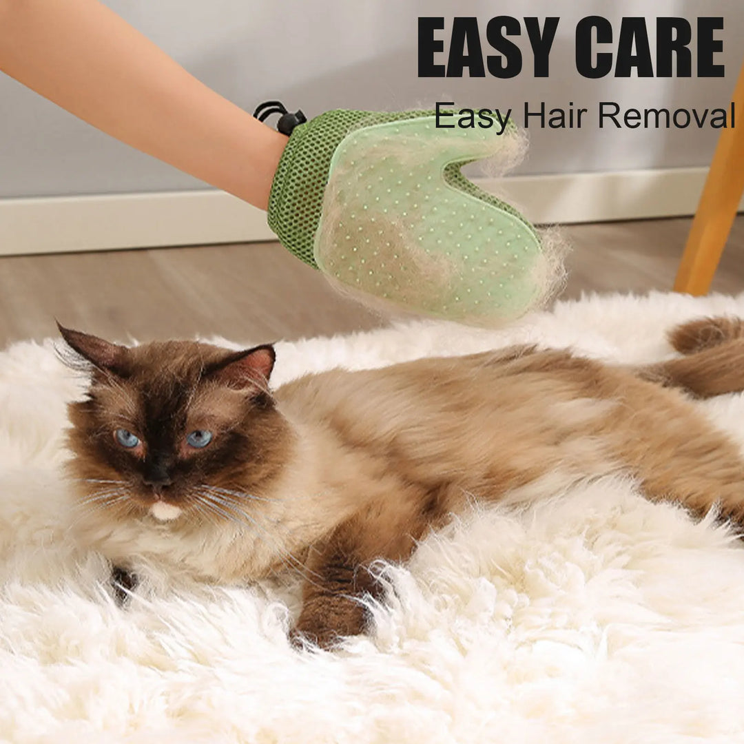 Brosse Gant pour chien et chat - HautePattes