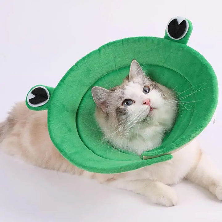 Collerette pour chat - HautePattes