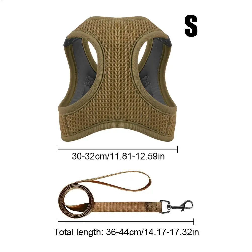 Harnais et laisses anti-fuite pour chat, pour petit et moyen chien, respirant, réfléchissant, réglable, sangle de poitrine pour chaton, fournitures pour animaux de compagnie - HautePattes