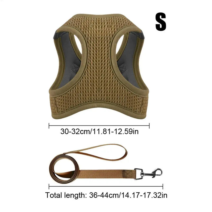 Harnais et laisses anti-fuite pour chat, pour petit et moyen chien, respirant, réfléchissant, réglable, sangle de poitrine pour chaton, fournitures pour animaux de compagnie - HautePattes