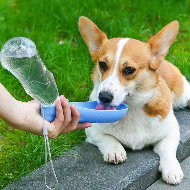 Bouteille d'eau portable 450 ml pour chiens - HautePattes
