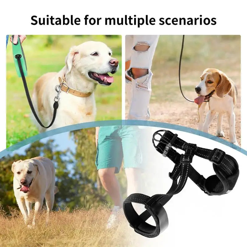 Muselière réfléchissante pour chien : sécurité nocturne & confort absolu