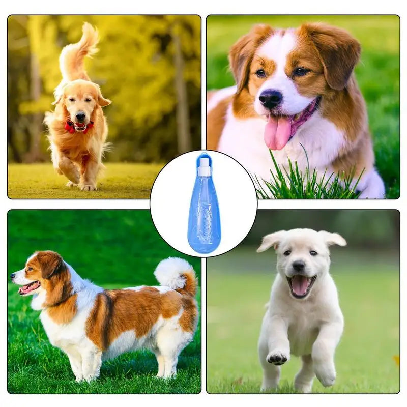 Bouteille d'eau portable 450 ml pour chiens - HautePattes