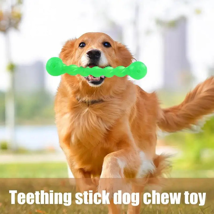 Bâton de Dentition Intelligente pour Chien - HautePattes
