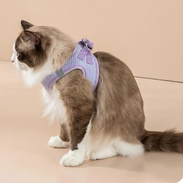 Harnais et laisses anti-fuite pour chat, pour petit et moyen chien, respirant, réfléchissant, réglable, sangle de poitrine pour chaton, fournitures pour animaux de compagnie - HautePattes