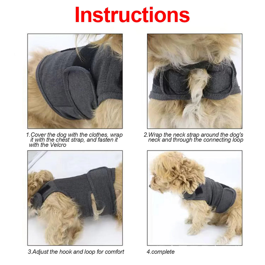 Un câlin continu pour chiens anxieux ou stressés