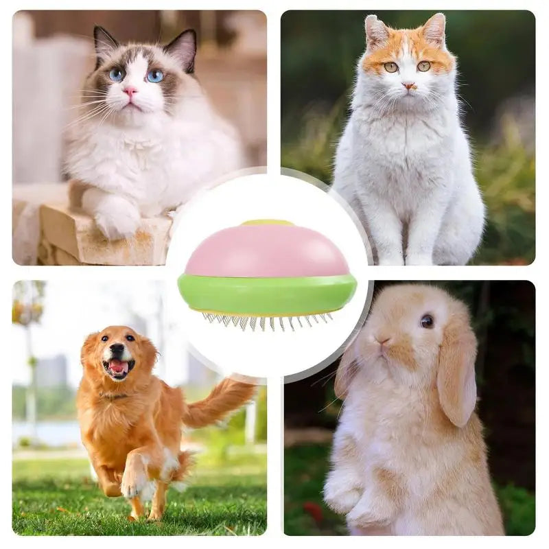 Brosse chat chien douce démêlante pour un toilettage sans stress