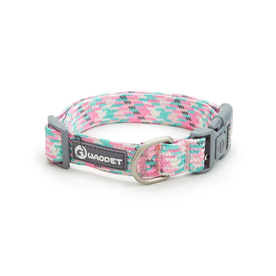 Collier réfléchissant chien & chat : visible la nuit, discret au quotidien
